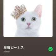 ヒメ日記 2025/05/18 03:46 投稿 いつき 川崎ソープ　クリスタル京都南町