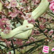 ヒメ日記 2025/03/03 04:05 投稿 ミイ 広島で評判のお店はココです！