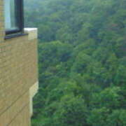 ヒメ日記 2025/04/24 06:05 投稿 ミイ 広島で評判のお店はココです！