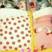 ヒメ日記 2025/06/02 03:15 投稿 ミイ 広島で評判のお店はココです！