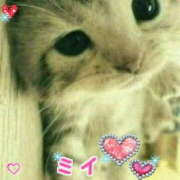 ヒメ日記 2025/06/12 07:40 投稿 ミイ 広島で評判のお店はココです！