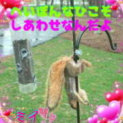 ヒメ日記 2025/11/21 04:20 投稿 ミイ 広島で評判のお店はココです！