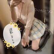 ヒメ日記 2025/05/11 15:06 投稿 しずく チェリーデイズ新宿店