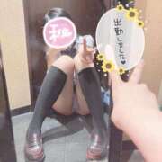 ヒメ日記 2025/05/18 10:58 投稿 しずく チェリーデイズ新宿店