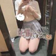 ヒメ日記 2025/06/07 09:49 投稿 しずく チェリーデイズ新宿店