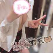 ヒメ日記 2025/12/14 09:54 投稿 しずく チェリーデイズ新宿店