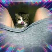 ヒメ日記 2025/03/01 18:01 投稿 城崎　れんか 人妻の秘密