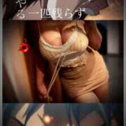 ヒメ日記 2026/03/26 12:05 投稿 城崎　れんか 人妻の秘密