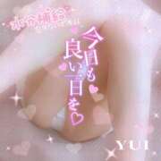 ヒメ日記 2025/05/20 12:42 投稿 ゆい 小田原人妻城