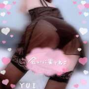 ヒメ日記 2025/06/09 10:42 投稿 ゆい 小田原人妻城