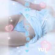 ヒメ日記 2025/09/30 10:08 投稿 ゆい 小田原人妻城