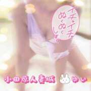 ヒメ日記 2025/10/24 10:07 投稿 ゆい 小田原人妻城