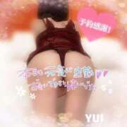 ヒメ日記 2025/12/08 10:45 投稿 ゆい 小田原人妻城