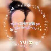 ヒメ日記 2025/12/26 09:26 投稿 ゆい 小田原人妻城