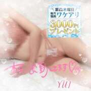 ゆい ワケありデー♪ 小田原人妻城