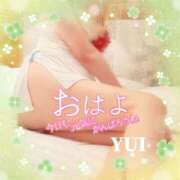 ヒメ日記 2026/03/06 08:46 投稿 ゆい 小田原人妻城