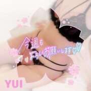 ヒメ日記 2026/04/06 11:40 投稿 ゆい 小田原人妻城