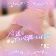 ヒメ日記 2026/06/22 10:33 投稿 ゆい 小田原人妻城