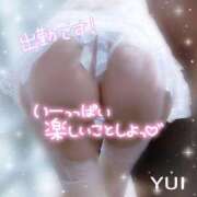 ヒメ日記 2026/06/30 12:27 投稿 ゆい 小田原人妻城