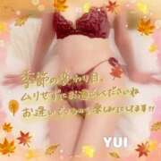 ゆい こんばんは♪ 小田原人妻城
