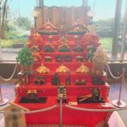 ヒメ日記 2025/03/03 10:33 投稿 ナオ ディアクイーンズ