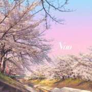 ヒメ日記 2025/04/02 13:25 投稿 ナオ ディアクイーンズ