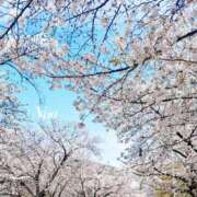 ヒメ日記 2025/04/09 12:36 投稿 ナオ ディアクイーンズ