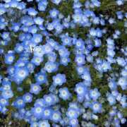 ヒメ日記 2025/04/24 18:18 投稿 ナオ ディアクイーンズ