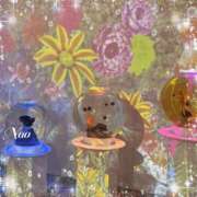 ヒメ日記 2025/06/08 16:54 投稿 ナオ ディアクイーンズ