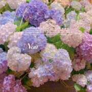 ヒメ日記 2025/06/14 10:59 投稿 ナオ ディアクイーンズ