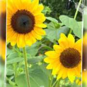 ヒメ日記 2025/08/02 09:46 投稿 ナオ ディアクイーンズ