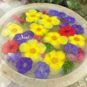 ヒメ日記 2025/08/12 11:55 投稿 ナオ ディアクイーンズ