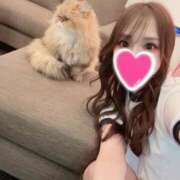 ヒメ日記 2026/01/26 19:32 投稿 さら Versailles