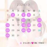 ヒメ日記 2026/02/08 12:33 投稿 さら Versailles