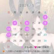 ヒメ日記 2026/04/17 00:11 投稿 さら Versailles