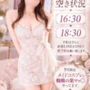 ヒメ日記 2026/09/12 11:01 投稿 さら Versailles