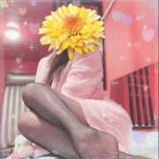 ヒメ日記 2025/01/27 01:00 投稿 エルメス バニーコレクション新潟店