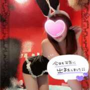 ヒメ日記 2025/02/21 19:00 投稿 エルメス バニーコレクション新潟店