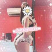 ヒメ日記 2025/05/20 02:00 投稿 エルメス バニーコレクション新潟店