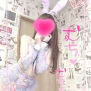 ヒメ日記 2025/06/20 10:49 投稿 エルメス バニーコレクション新潟店