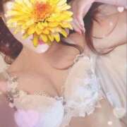 ヒメ日記 2025/07/20 10:50 投稿 エルメス バニーコレクション新潟店