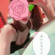 ヒメ日記 2025/09/22 20:00 投稿 エルメス バニーコレクション新潟店