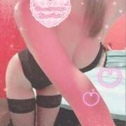 ヒメ日記 2025/09/23 13:30 投稿 エルメス バニーコレクション新潟店