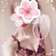 ヒメ日記 2026/02/23 16:17 投稿 エルメス バニーコレクション新潟店