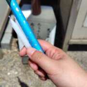 ヒメ日記 2025/09/21 10:39 投稿 笹本静香 エレガンス(福島)