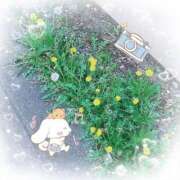 ヒメ日記 2025/04/17 14:30 投稿 唯月ゆいな 横浜メロディー