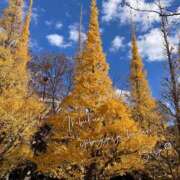 ヒメ日記 2024/12/12 12:12 投稿 さや 夜這い茶屋 はなれ