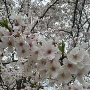 ヒメ日記 2025/03/28 09:13 投稿 さや 夜這い茶屋 はなれ