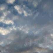 ヒメ日記 2025/10/20 19:07 投稿 さや 夜這い茶屋 はなれ