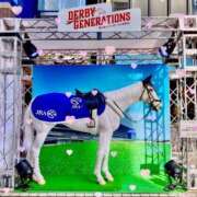 ヒメ日記 2025/05/28 21:07 投稿 ゆうき PLEASURE